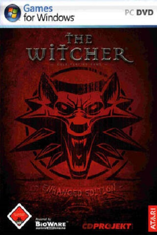 The Witcher The Witcher